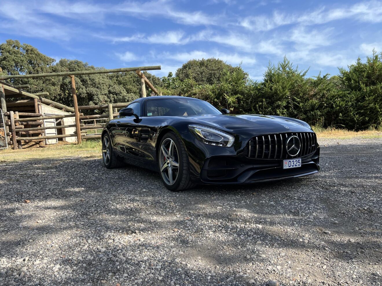 MERCEDES AMG GTS