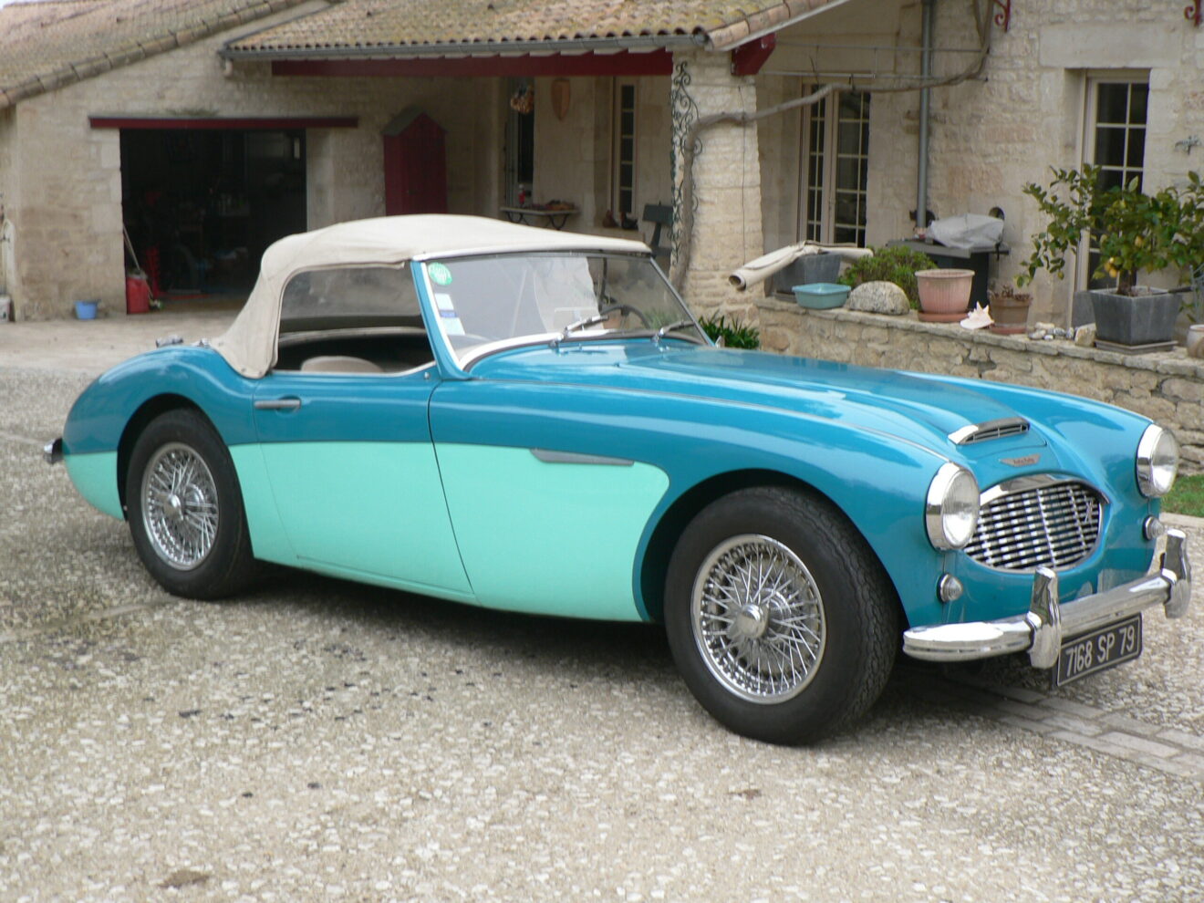 AUSTIN HEALEY 106 1959