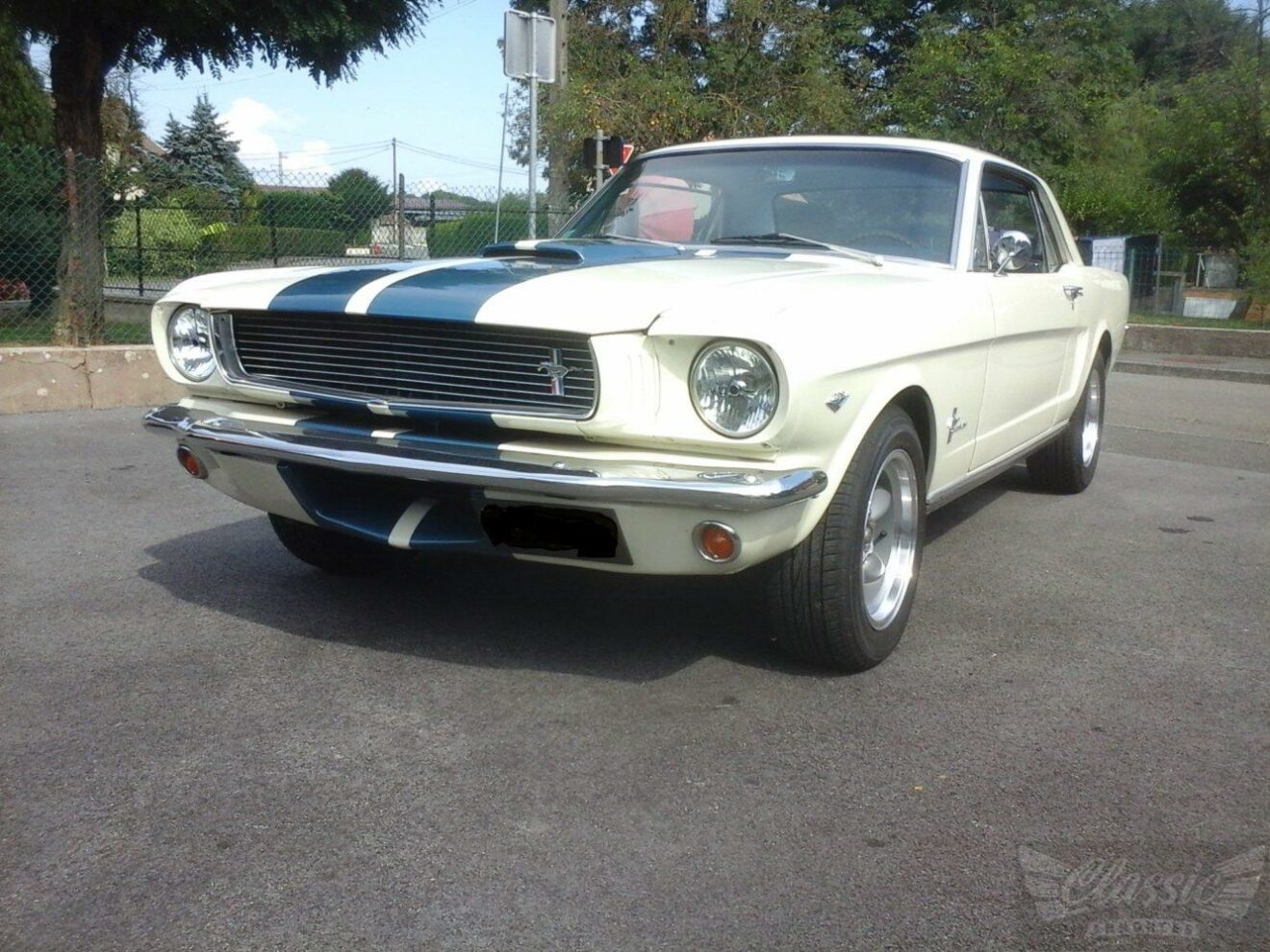 FORD MUSTANG SHELBY 289
