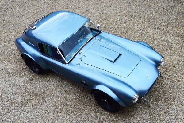 SHELBY COBRA 289 FIA