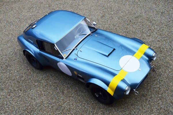 SHELBY COBRA 289 FIA