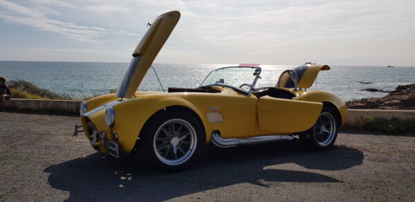 AC COBRA JONHEX V8